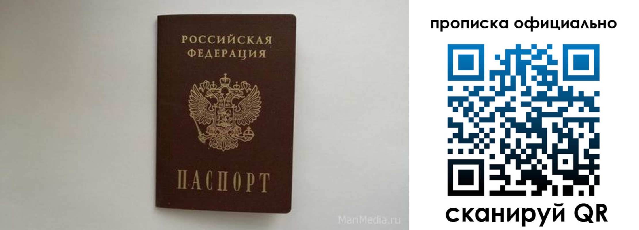 прописка в квартире в Павловске
